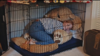 Alice Levine feet photo thumbnail