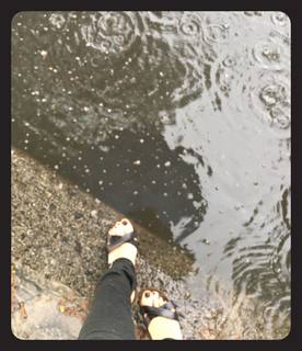 Alice Pol feet photo 15