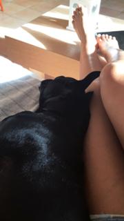 Alice Sabatini feet photo 12