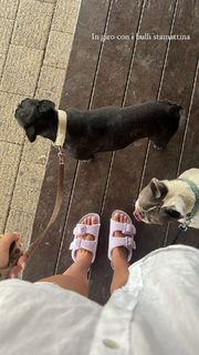 Alice Sabatini feet photo 8