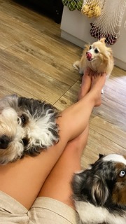 Alice Wegmann feet photo thumbnail