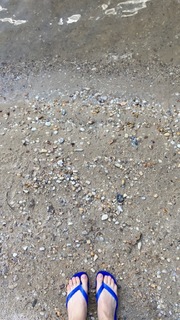 Alice Wegmann feet photo thumbnail