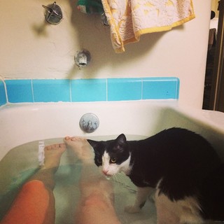 Alice Wetterlund feet photo 14