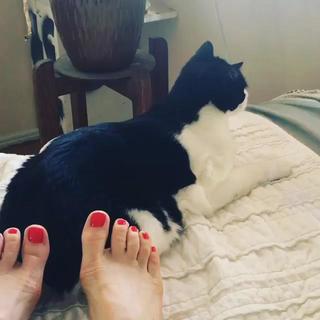 Alice Wetterlund feet photo 10