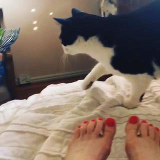 Alice Wetterlund feet photo 9