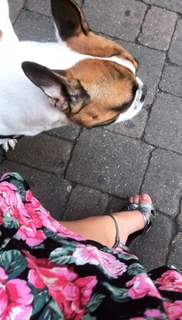 Alicia Agneson feet photo 2