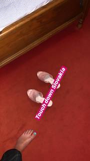 Alicia Agneson feet photo 13