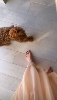 Alicia Agneson feet photo 12