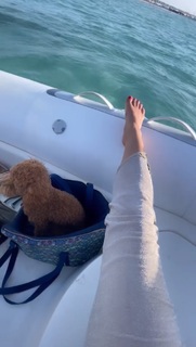 Alicia Agneson feet photo 2