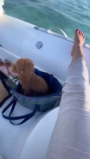 Alicia Agneson feet photo 20