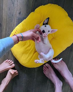 Alina Astrovskaya feet photo 8
