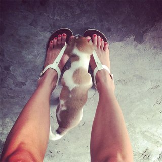 Alina Astrovskaya feet photo 15