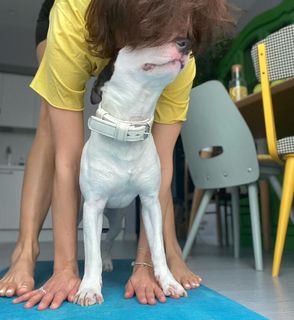 Alina Astrovskaya feet photo 11