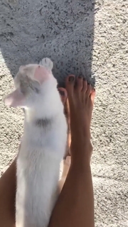 Alina Astrovskaya feet photo 16