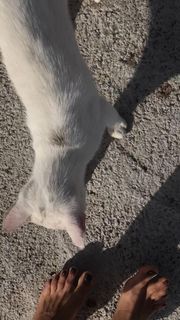 Alina Astrovskaya feet photo 15