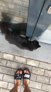 Alina Astrovskaya feet photo 12