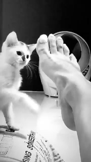 Alina Ceusan feet photo 15