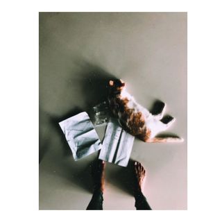 Alina Ceusan feet photo 3