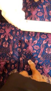 Alina Ceusan feet photo 3