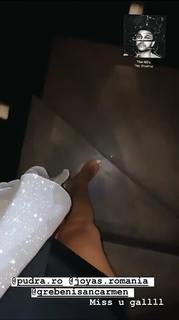 Alina Ceusan feet photo 19