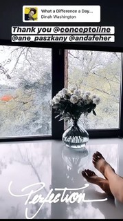 Alina Ceusan feet photo 6