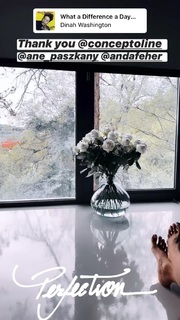 Alina Ceusan feet photo 5