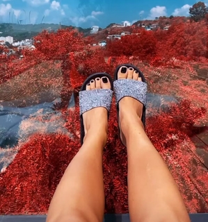 Alina Ceusan feet photo 3