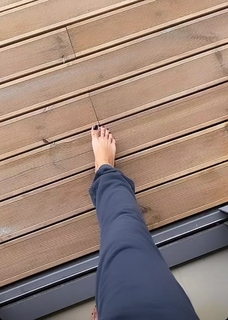 Alina Ceusan feet photo 20