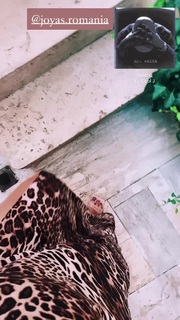 Alina Ceusan feet photo 5