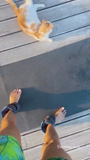 Alina Ceusan feet photo 2