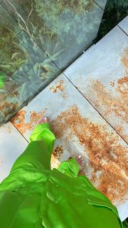 Alina Ceusan feet photo 18
