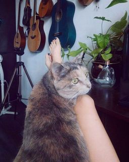 Alina Gingertail feet photo 10