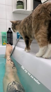 Alina Gingertail feet photo 1