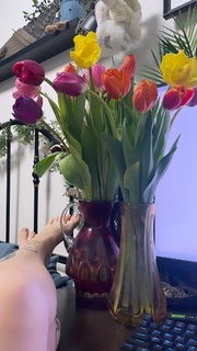 Alina Gingertail feet photo 18