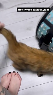 Alina Gingertail feet photo 8