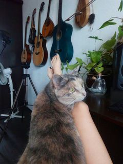 Alina Gingertail feet photo 13