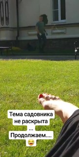 Alina Lanina feet photo thumbnail