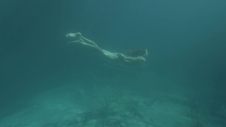 Alina Levshin feet photo 2