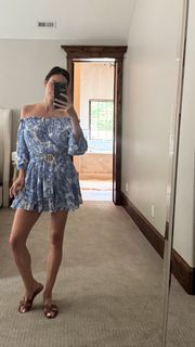 Alina Puscau feet photo 20