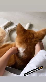 Alina Zagitova feet photo thumbnail