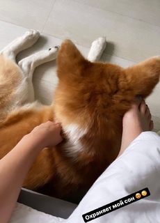 Alina Zagitova feet photo thumbnail