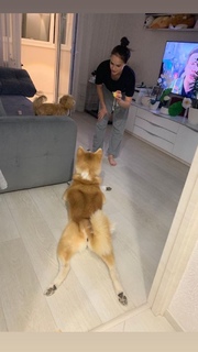 Alina Zagitova feet photo thumbnail