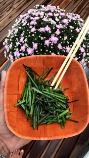 Aline Campos feet photo thumbnail