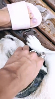 Aline Campos feet photo thumbnail