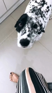 Aline Campos feet photo thumbnail