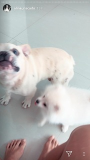 Aline Campos feet photo thumbnail