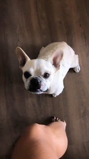 Aline Campos feet photo thumbnail