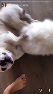 Aline Campos feet photo thumbnail