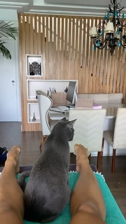 Aline Campos feet photo thumbnail