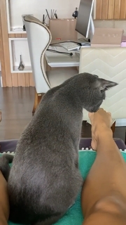 Aline Campos feet photo thumbnail